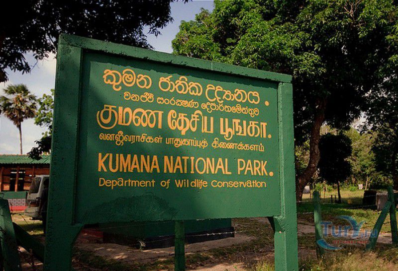 Arugam Bay gallery 2