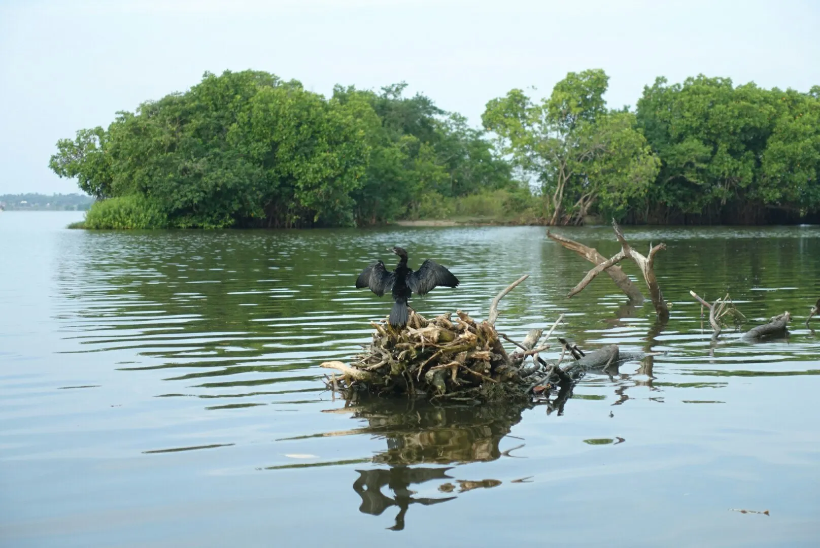 Arugam Bay gallery 4