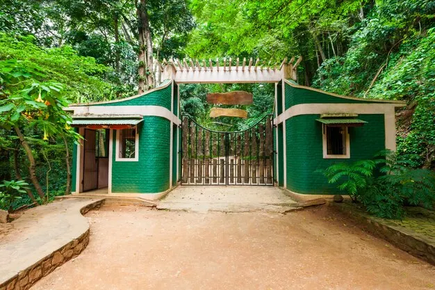 Kandy gallery 2